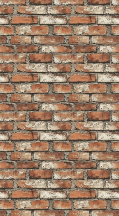 BRICK 0051 PRINT