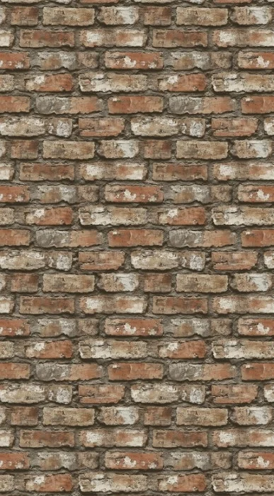BRICK 0058 PRINT